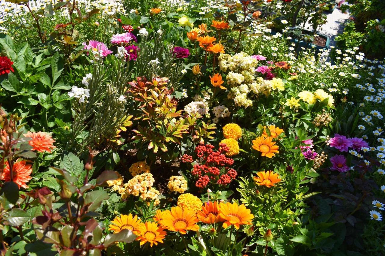 Hotel Garden Terrace Old Istanbul Eksteriør bilde